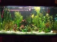 DSCF2578.jpg