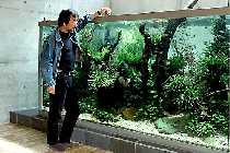 Amano_personal_tank_5.jpg