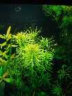 DSC00010.jpg