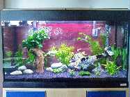 aquarium.jpg