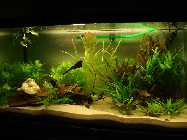 aqua_300L_mae09_3.jpg
