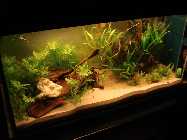 aqua_300L_mae09_4.jpg