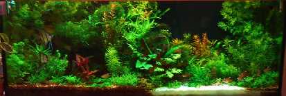 DSC00058.jpg