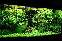 28.05.08 250 liter 010_(800_x_600).jpg