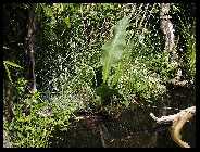 Teich 05.09_6.jpg