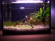 100_0130.jpg