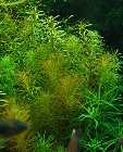 DSC00129.jpg