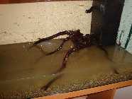 DSC00814-a.jpg