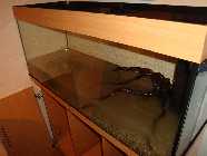 DSC00815-a.jpg