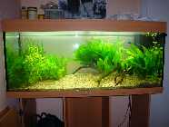 DSC00820-a.jpg