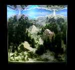 winterworld_(800_x_600).jpg