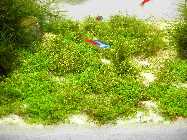 DSCF0060.jpg