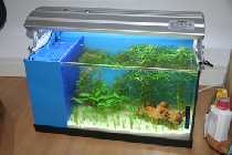 IMG_2993kk.jpg