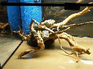 2009_11060002.jpg