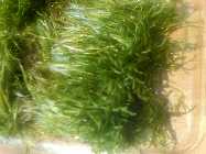 IMG00104-20091209-14041.jpg