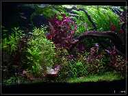 a_P1150228.jpg