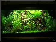 a_P1150636.jpg