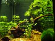 DSC02810 [50%].jpg