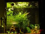 DSC03004 [50%].jpg