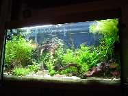 DSC03011 [50%].jpg