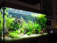 DSC03070 [50%].jpg