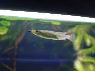DSC02785 [50%].jpg
