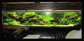 Evas Becken 20.03.10 _2.jpg