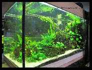 Evas Becken 20.03.10 _5.jpg