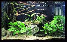 Evas Becken 20.03.10 _11.jpg