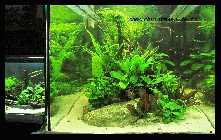 Evas Becken 20.03.10 _15.jpg
