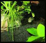 Evas Becken 20.03.10 _16.jpg