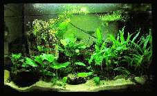 Evas Becken 20.03.10 _17.jpg