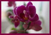 DSC00067.jpg