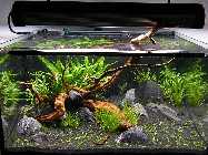 2010_04220018.jpg