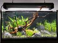2010_04220011.jpg