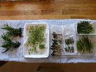 2010_04220001.jpg