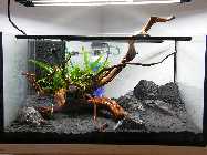 2010_04220009.jpg