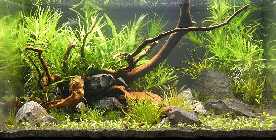 2010_05120006.jpg