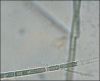 Frame12708.JPG