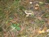 IMG_0157.JPG