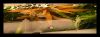 Dateiname : AmmaniaGracilisAug09.jpg
Dateigröße : 69KB
Abmessungen : 860x321
hinzugefügt am : 19.September 2009 AmmaniaGracilisAug09.jpg