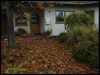 Dateiname : Herbst2.jpg
Dateigröße : 167KB
Abmessungen : 800x605
hinzugefügt am : 07.November 2012 Herbst2.jpg