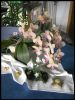 Orchideegelbgestreift.jpg