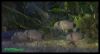 Dateiname : Pandas.jpg
Dateigröße : 63KB
Abmessungen : 800x439
hinzugefügt am : 22.Januar 2013 Pandas.jpg