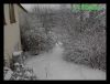 Dateiname : Winter2010.jpg
Dateigröße : 161KB
Abmessungen : 860x660
hinzugefügt am : 13.Februar 2010 Winter2010.jpg