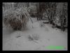 Dateiname : Winter20102.jpg
Dateigröße : 113KB
Abmessungen : 860x660
hinzugefügt am : 13.Februar 2010 Winter20102.jpg