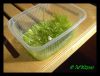 ulticularia_graminifolia4.jpg