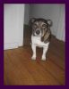 Bild_006.jpg