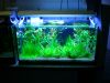 Naturaquarium 112 Liter