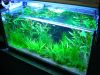 Naturaquarium 112 Liter